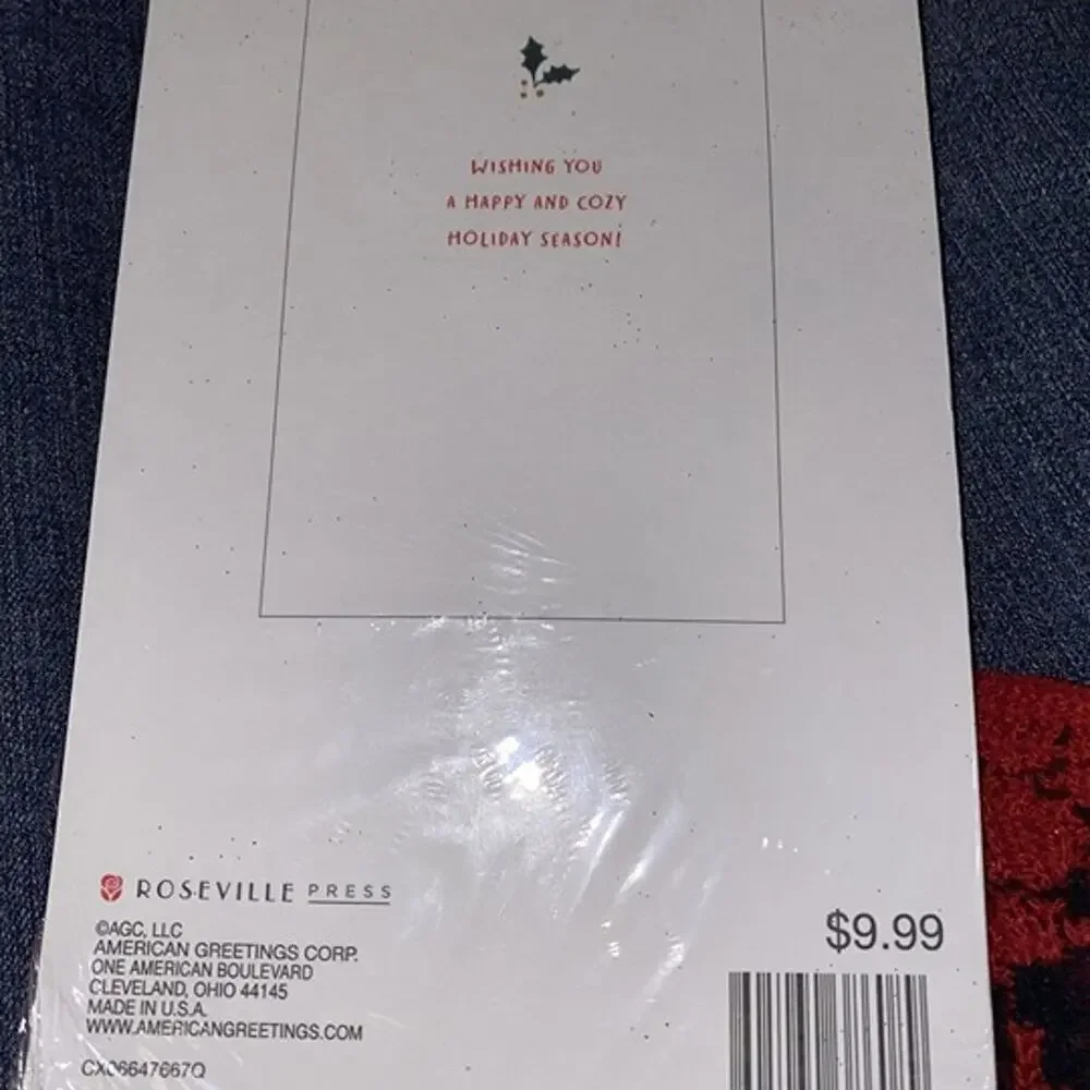 10ct Deluxe Peace Joy and Cheer Holiday Wishes Christmas Cards - Roseville Press
